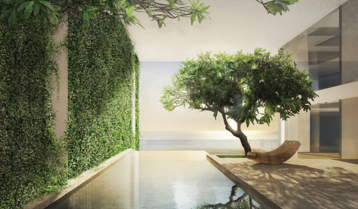 ONE PALM, picture 19