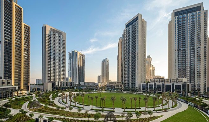 The Cove, picture 10