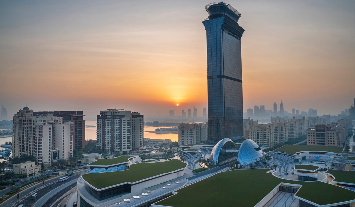 The Palm Tower, picture 14