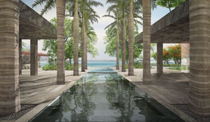 ONE PALM, picture 17