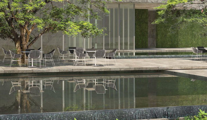 ONE PALM, picture 13