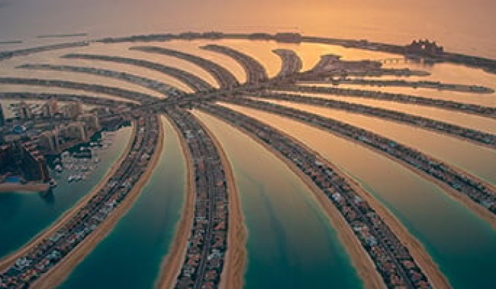 The Palm Tower, picture 8