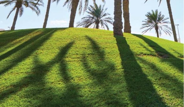 Waters edge, picture 4