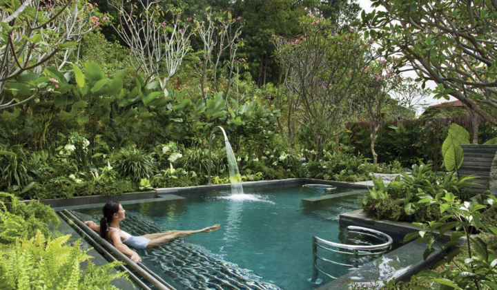 ONE PALM, picture 15