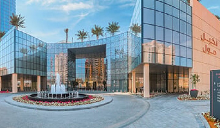 The Palm Tower, picture 6