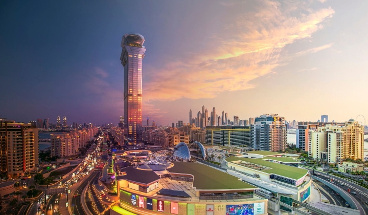 The Palm Tower, picture 15