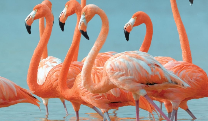 Bay Shore, фото 6